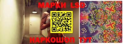 ПСИЛОЦИБИНОВЫЕ ГРИБЫ Можга