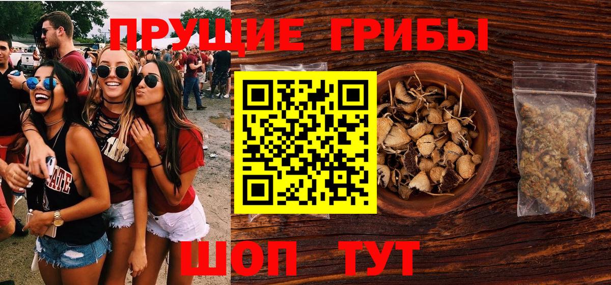 Псилоцибиновые грибы мицелий Североморск