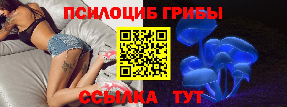 Североморск  Галлюциногенные грибы Psilocybe  даркнет сайт  Вход с VPN 